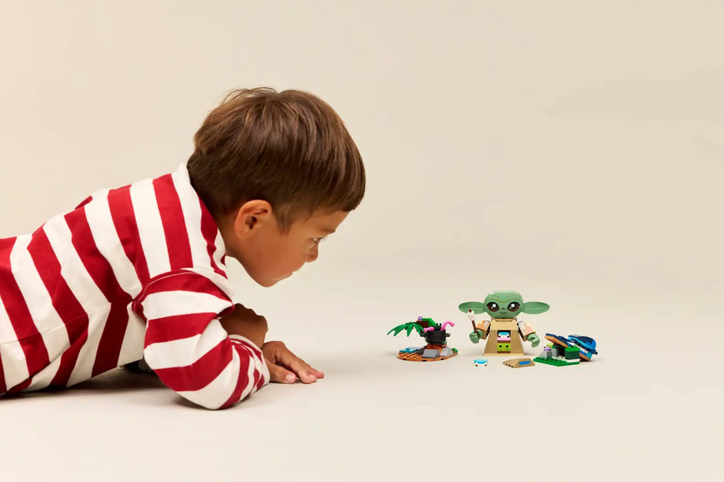 LEGO® Star Wars™ Grogu's Homestead 75443