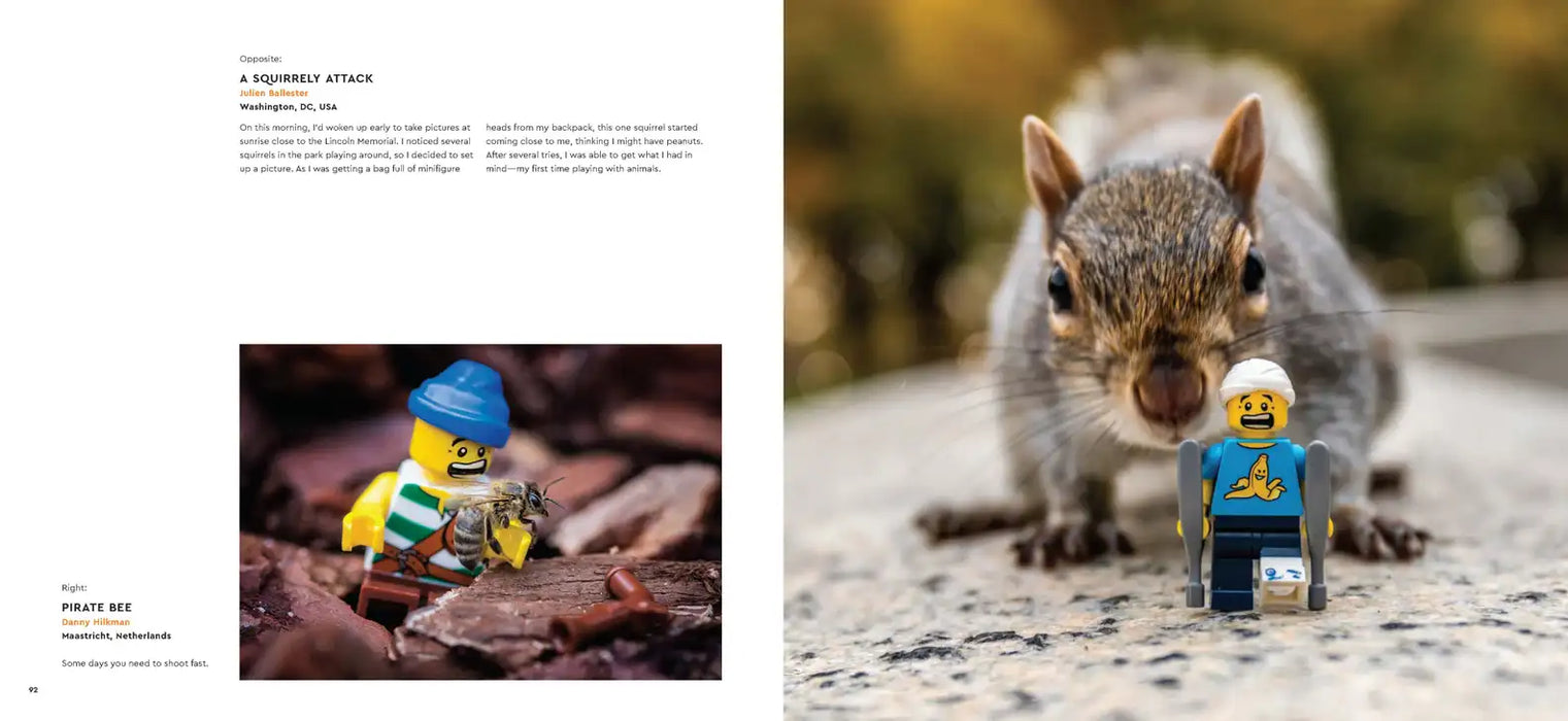 LEGO® in Focus Book