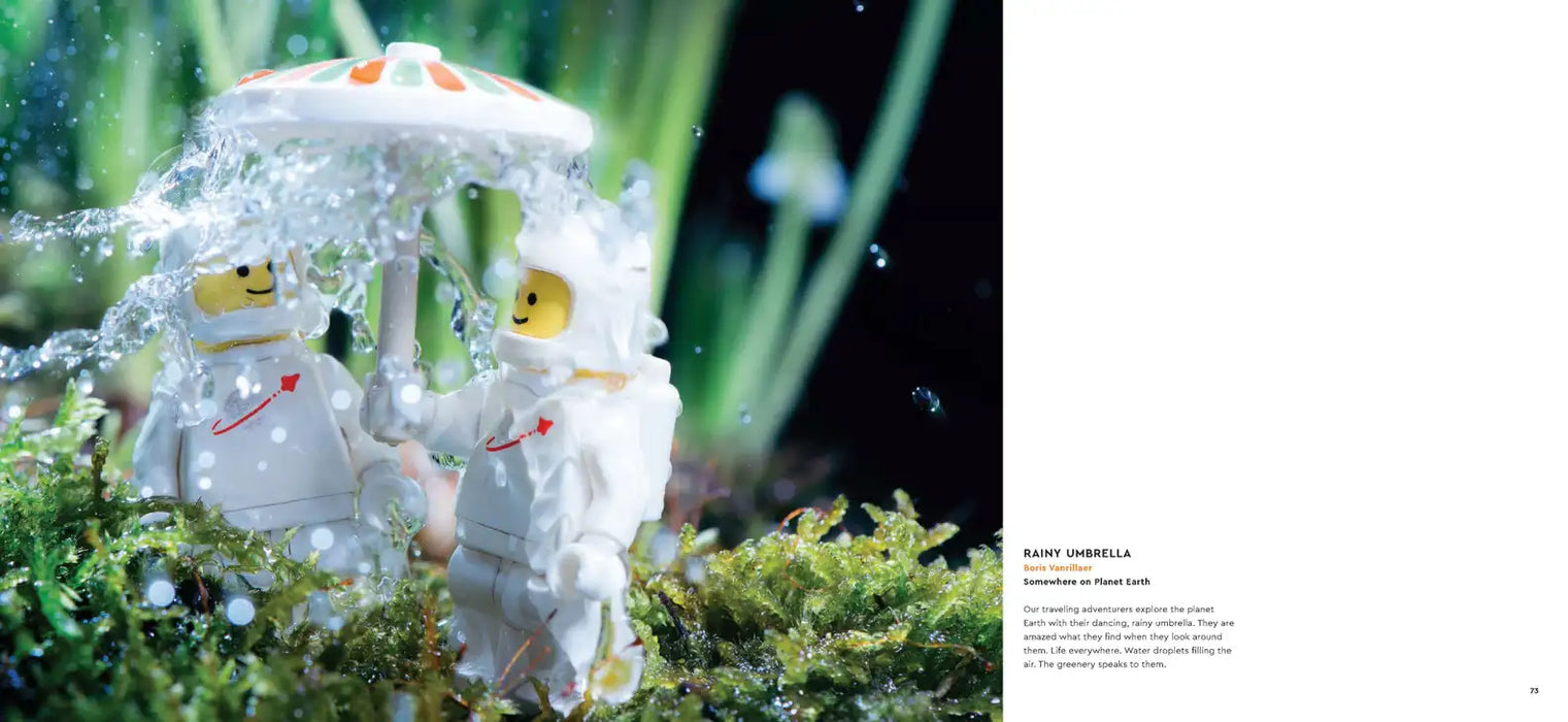 LEGO® in Focus Book